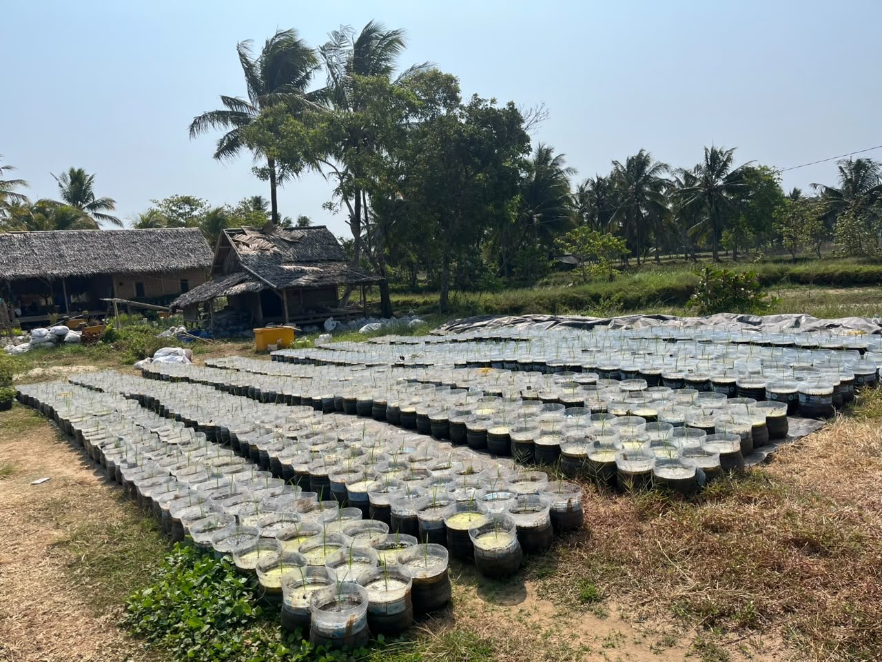 Penataan lahan dan bedengan