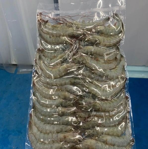 Udang vaname
